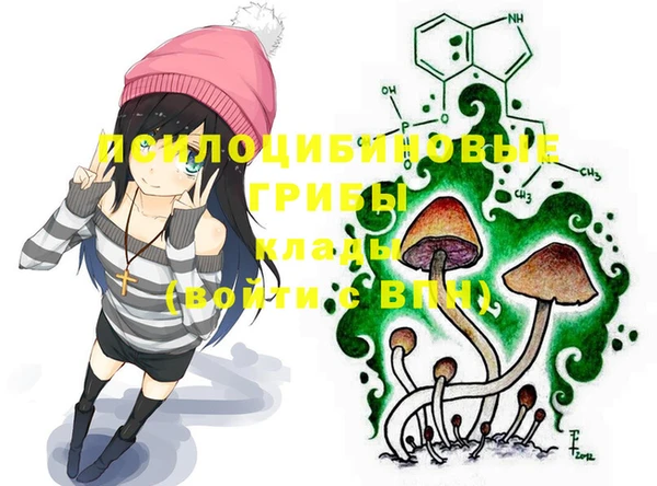 МДПВ Абинск