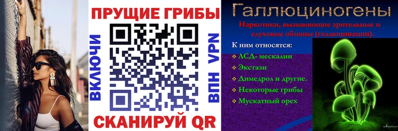мориарти формула  blacksprut как войти  Кораблино  Галлюциногенные грибы Psilocybine cubensis 